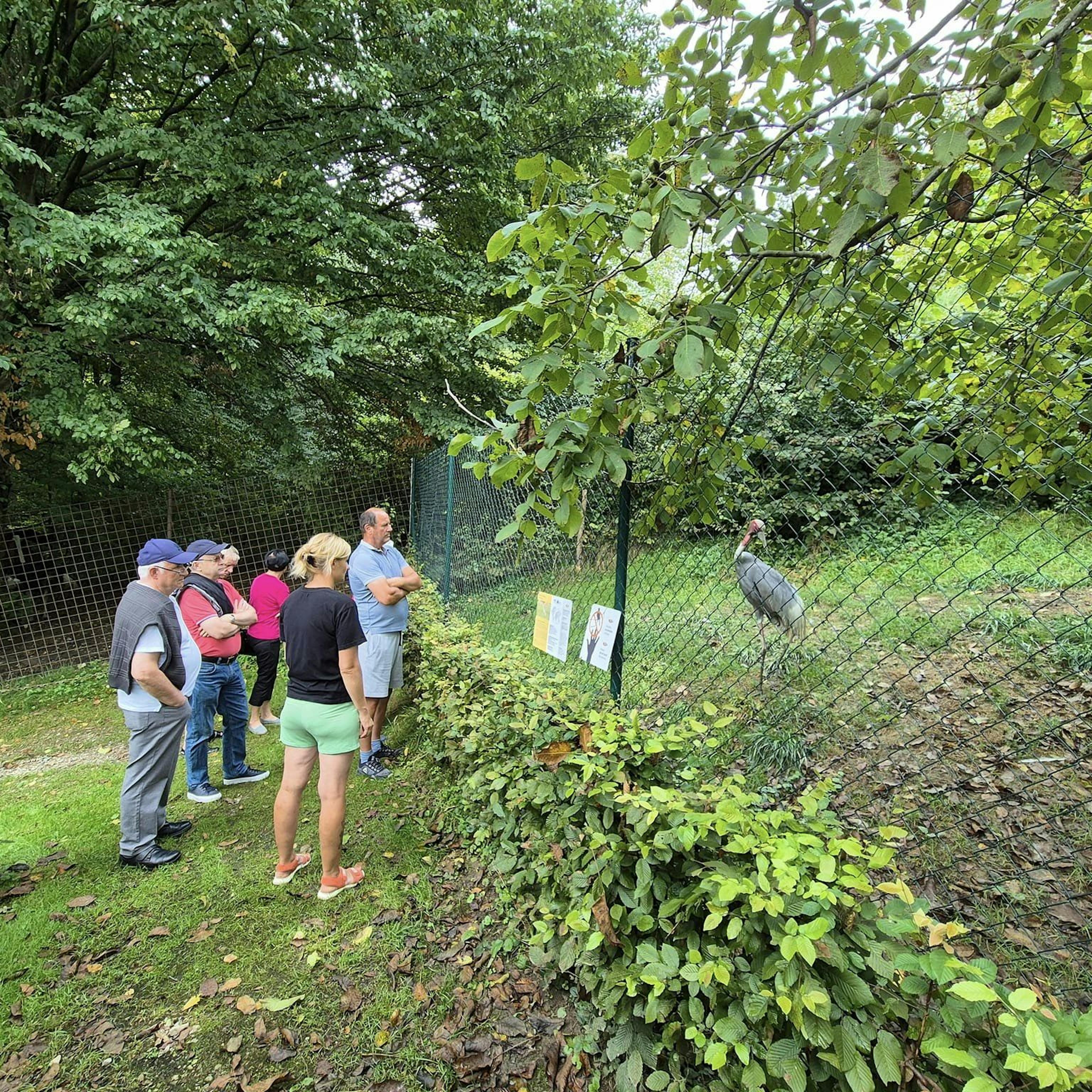 Park prostoživečih živali Destrnik